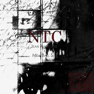 NTC (feat. Meatball Sub) [Explicit]