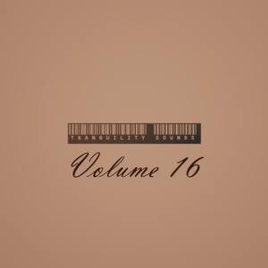 Tranquility Sounds Volume 16