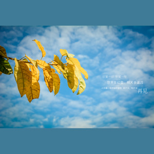 让我远远望着你