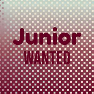 Junior Wanted