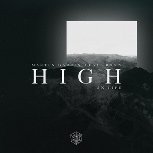 High On Life (Audistill Remix)封面