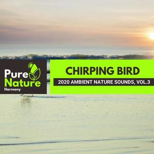 Chirping Bird - 2020 Ambient Nature Sounds, Vol.3