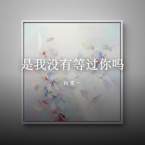 是我没有等过你吗封面