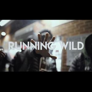 Running Wild (feat. Leekonnacomeup) [Explicit]