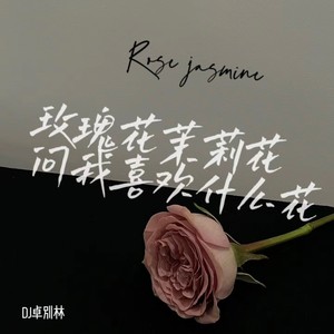 老大 (玫瑰花茉莉花DJ)