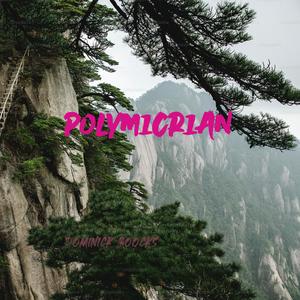 Polymicrian