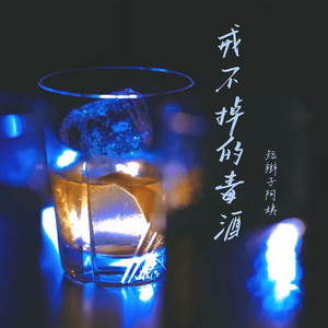 戒不掉的毒酒 (伴奏)