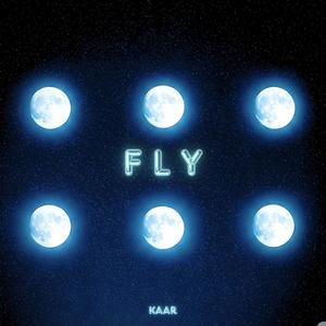 FLY (Explicit)