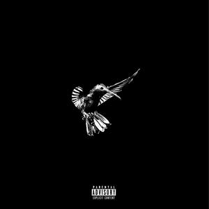 Day and Night (Explicit)