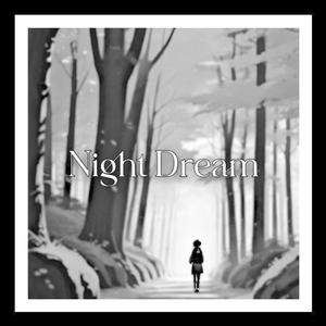 Night Dream