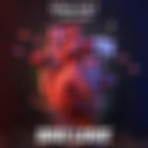 Bad Love (feat. Morgan Knox)