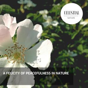 A Felicity of Peacefulness in Nature