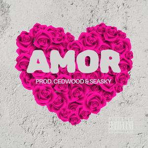 Amor (feat. Prod. CedWood & SeaSky) [Explicit]