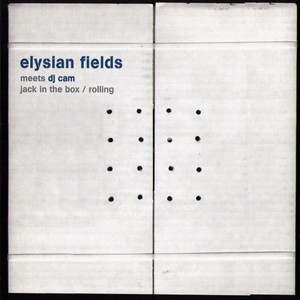 Elysian Fields meets Dj Cam