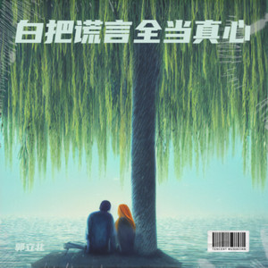 白把谎言全当真心