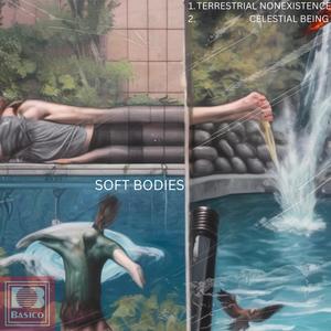 SOFT BODIES (Explicit)