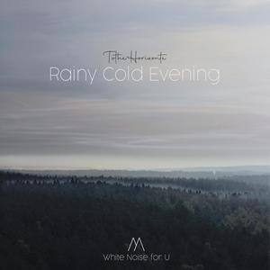 Rainy Cold Evening - White Noise