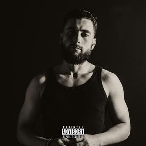 "ALN" Deluxe Edition (Explicit)