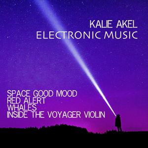 Inside the voyager violin