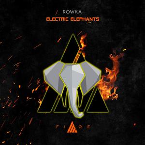 Eletric Elephants