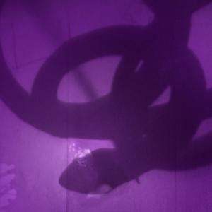 Rise up (feat. Alex)