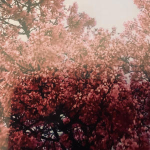 Leaves Steady Fallin' (Explicit)