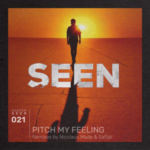 Pitch My Feeling