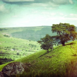 Saved by a Helicopter