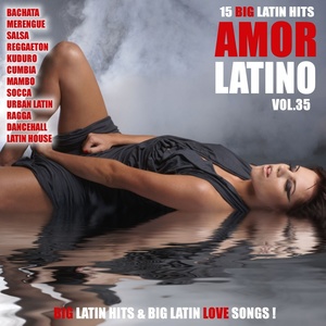 Amor Latino, Vol. 35 - 15 Big Latin Hits & Latin Love Songs (Bachata, Merengue, Salsa, Reggaeton, Kuduro, Mambo, Cumbia, Urbano, Ragga)