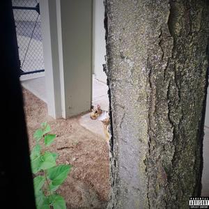 Get Well Soon (Explicit)