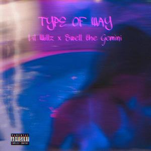Type of Way(feat. Swell the Gemini)