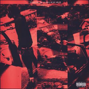 Skope (Bonus) (Remix|Explicit)