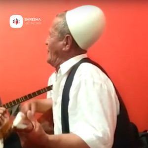 Ali Pasha Pasha i vogel