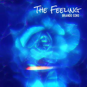 The Feeling (Explicit)