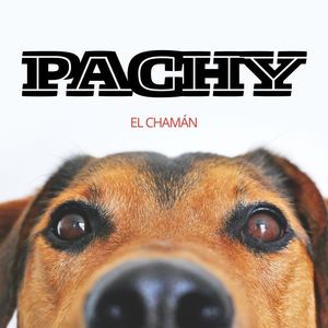 Pachy