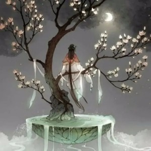 梨花凉封面