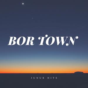 Bor Town (feat. Ninja Sam) [Explicit]