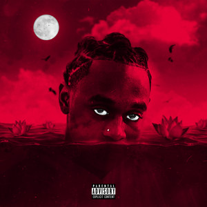 Stay Down (Explicit)
