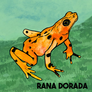 Rana Dorada