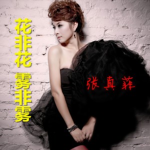 张真菲 - 因为爱情