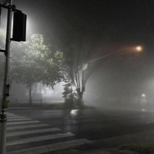 fell in love in tokyo