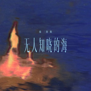 无人知晓的海