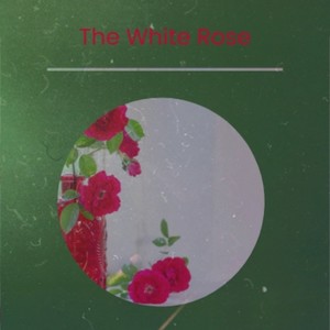 The White Rose