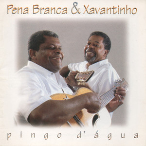 Pingo D' Água