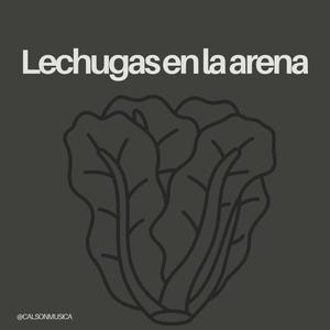 Lechugas En La Arena