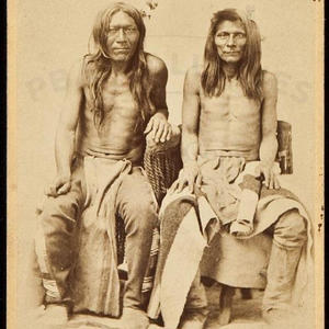 iyïrinusrry if the noose fits wear it