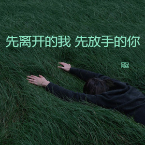 先离开的我 先放手的你