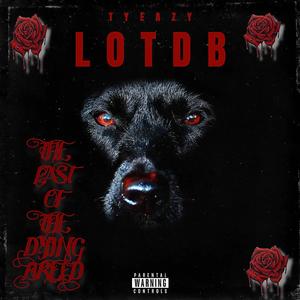 LOTDB (Explicit)