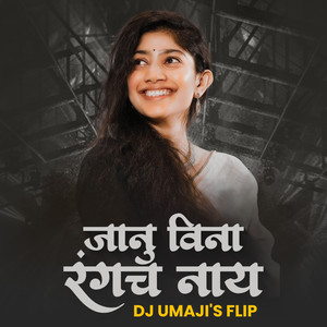 Janu Vina Rangach Naay (Dj Remix)