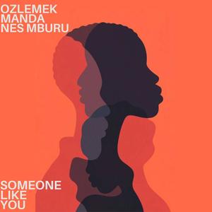 Someone Like You (Radio Edit)